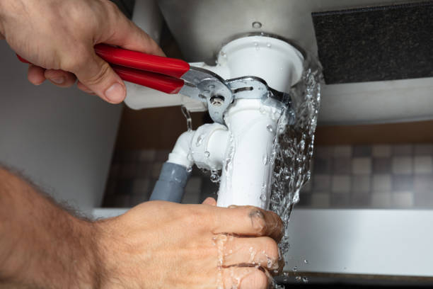 Best Mold removal after water damage  in Ossun, LA