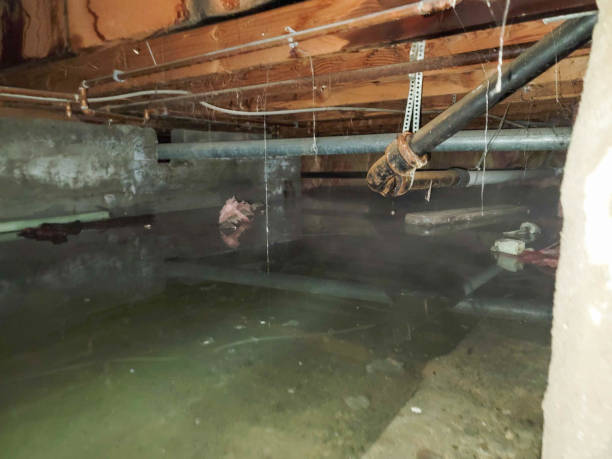 Best Water damage restoration near me  in Ossun, LA